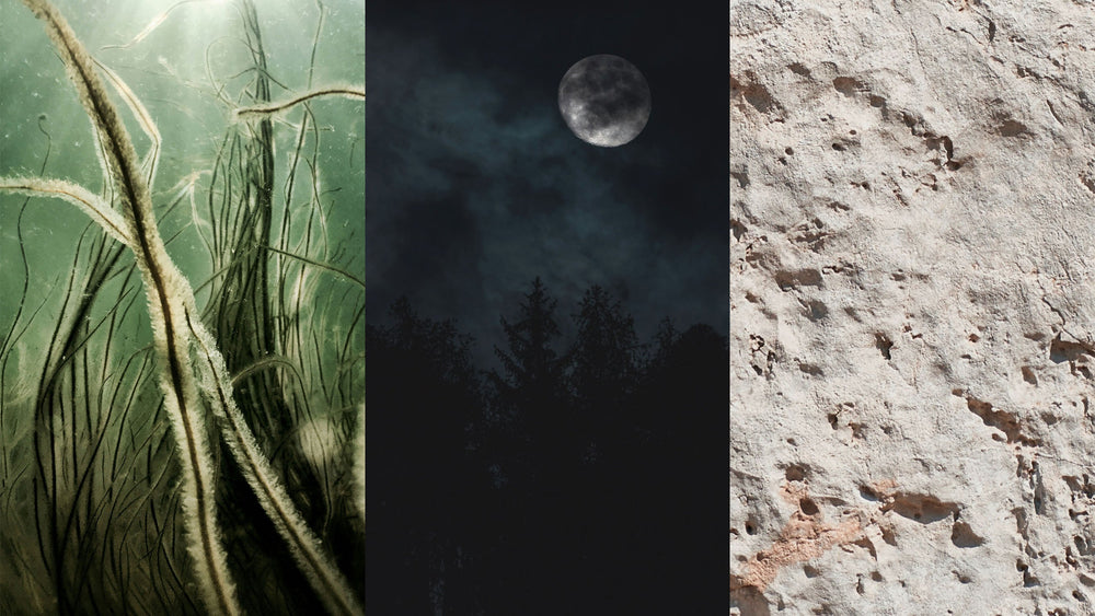 Kelp, Midnight, Stone: Three New Tones